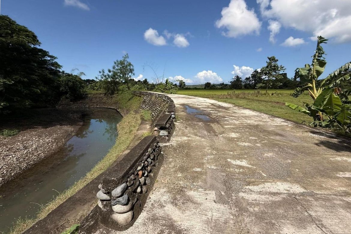 Land for Sale in Salcedo, Luna, La Union – photo 2