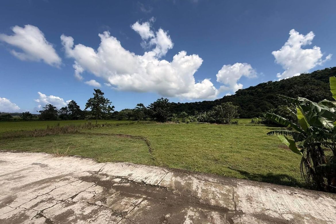 Land for Sale in Salcedo, Luna, La Union – photo 3