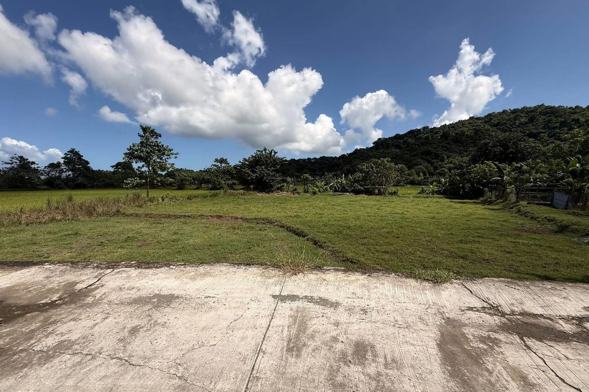 Land for Sale in Salcedo, Luna, La Union – photo 5