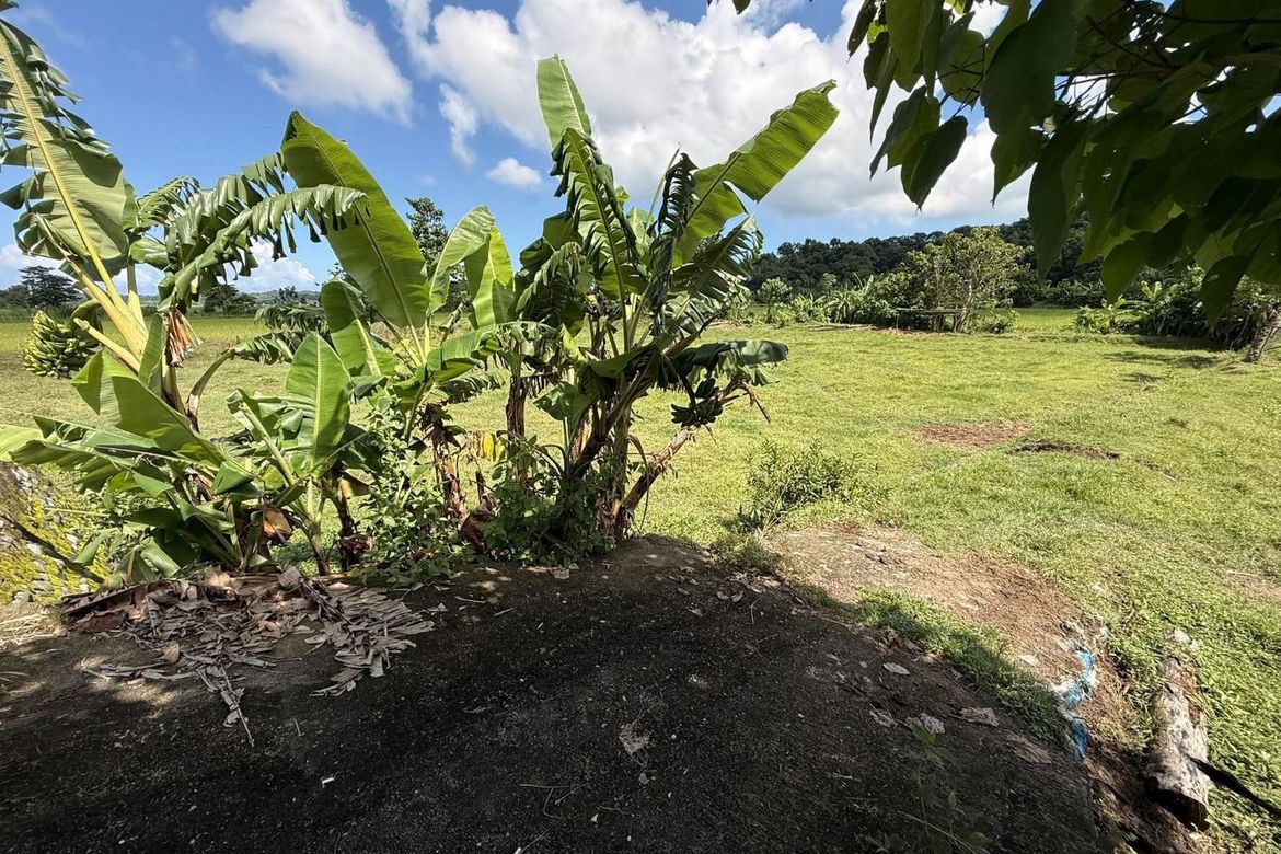 Land for Sale in Salcedo, Luna, La Union – photo 6