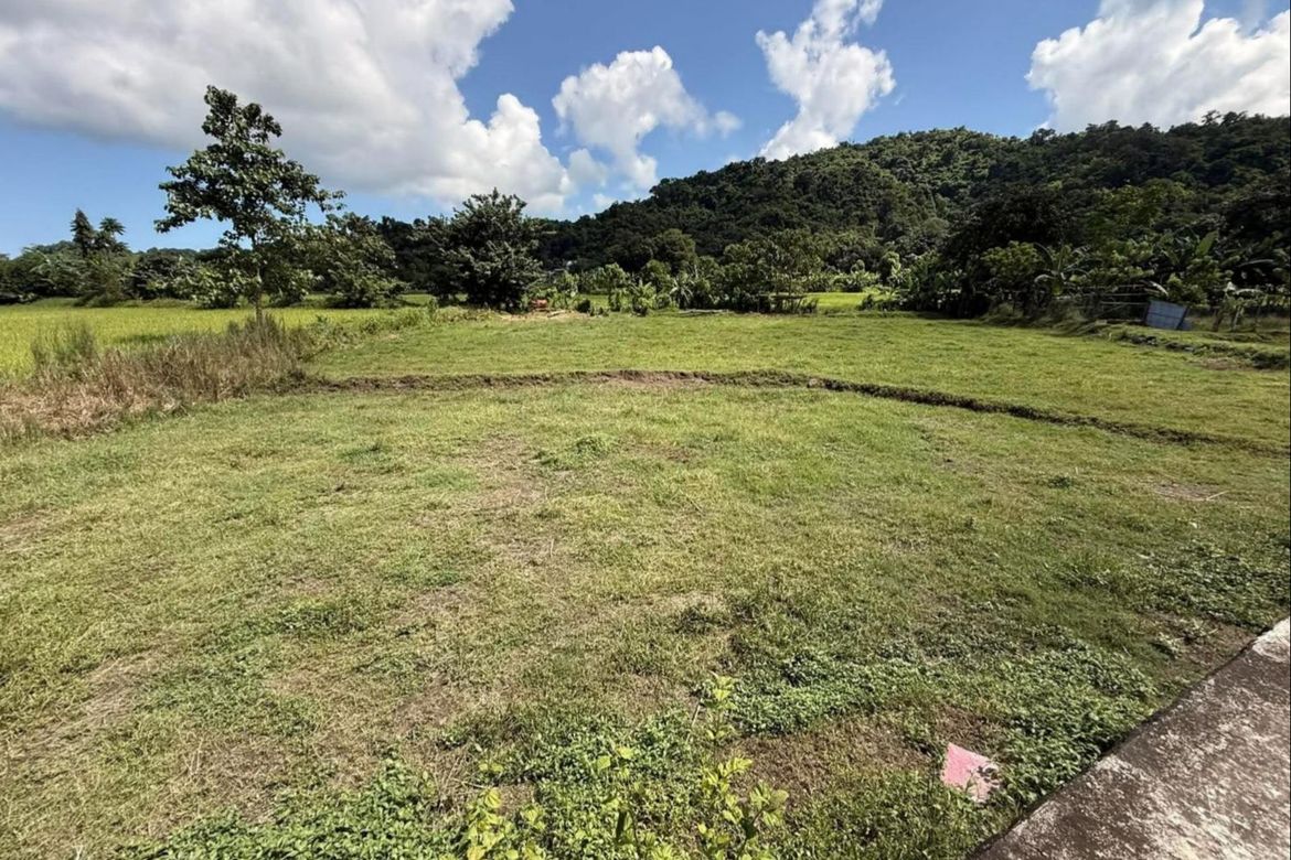 Land for Sale in Salcedo, Luna, La Union – photo 7