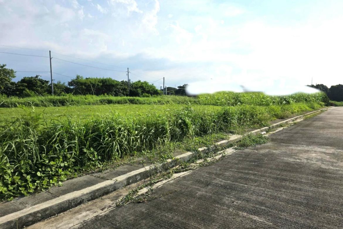 Land for Sale in Salitran I, Dasmariñas, Cavite