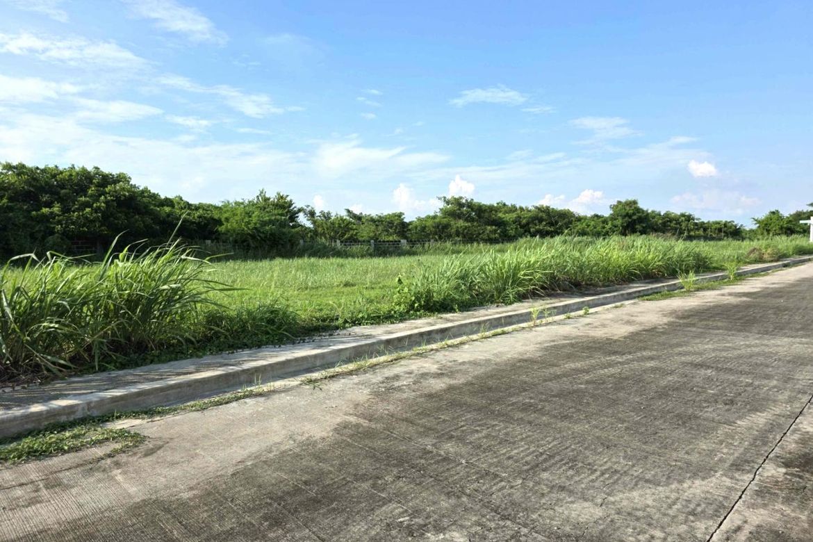 Land for Sale in Salitran I, Dasmariñas, Cavite – photo 3