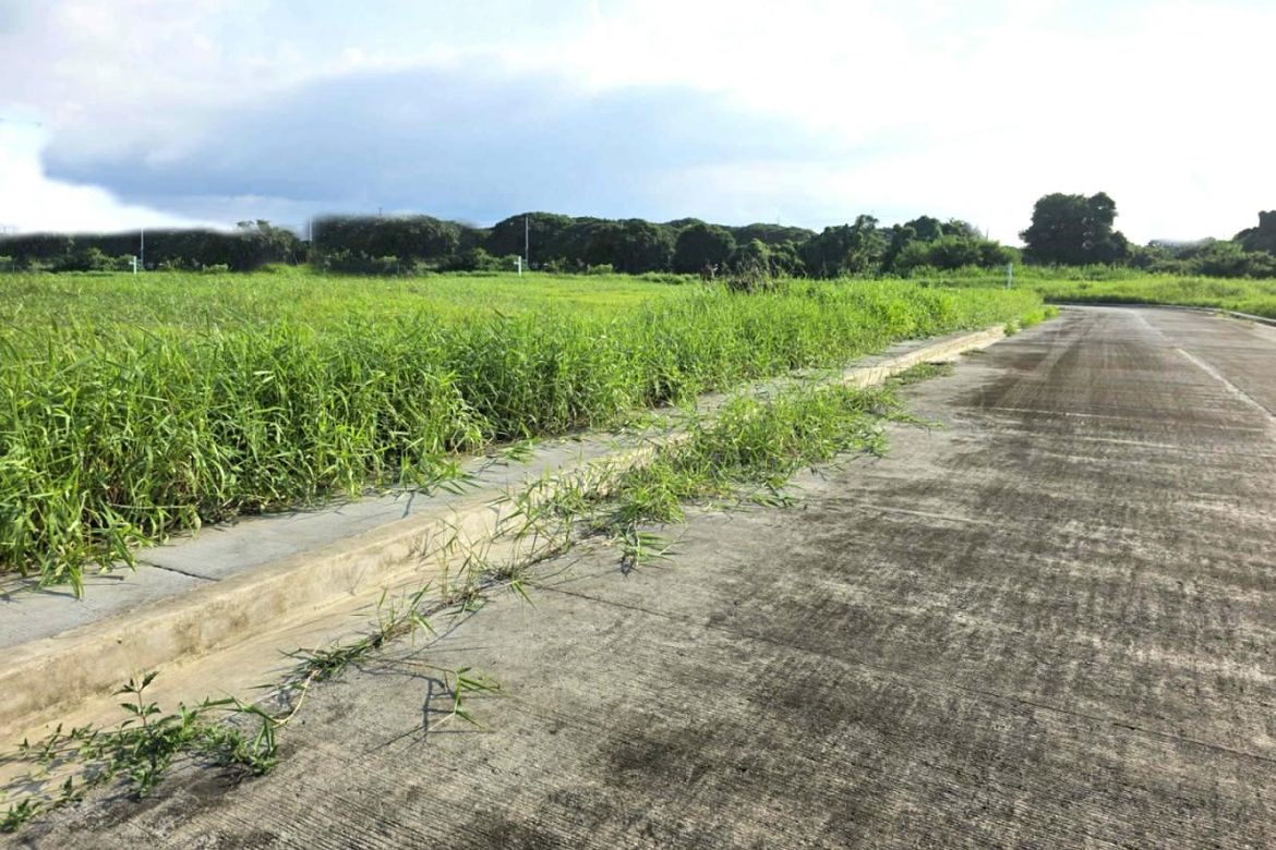 Land for Sale in Salitran I, Dasmariñas, Cavite – photo 4