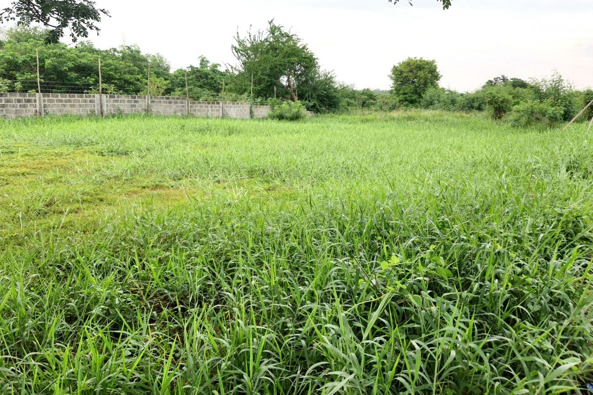 Land for Sale in Salitran I, Dasmariñas, Cavite – photo 3