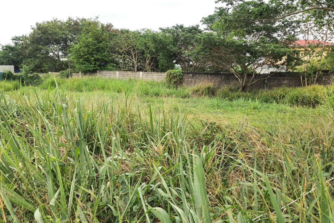 Land for Sale in Salitran I, Dasmariñas, Cavite – photo 4
