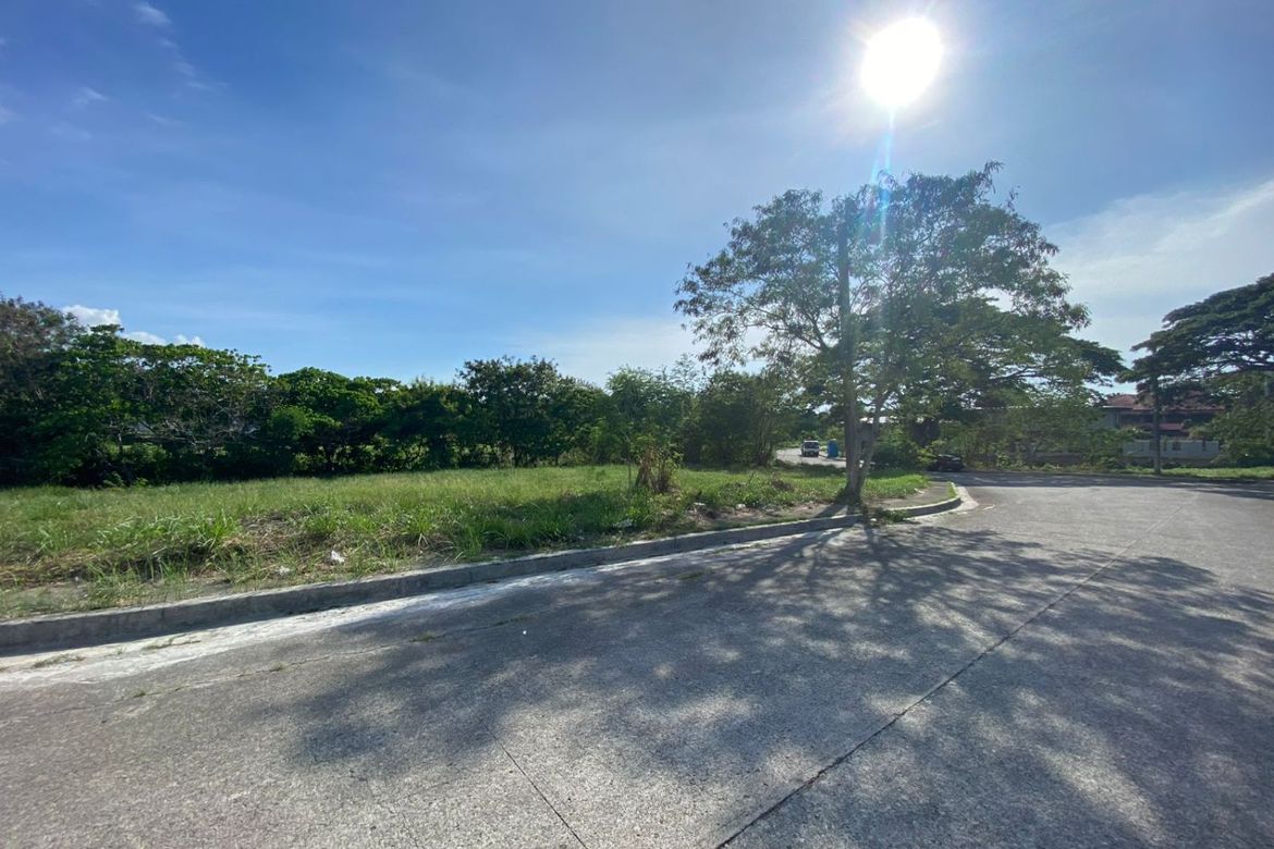 Land for Sale in Salitran I, Dasmariñas, Cavite – photo 4