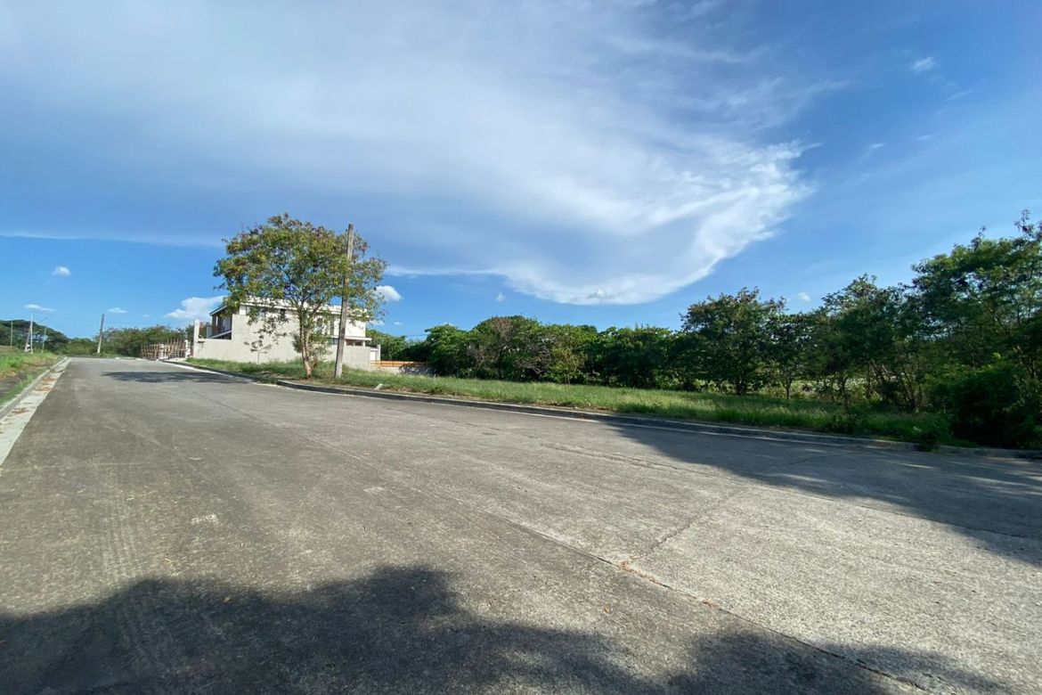 Land for Sale in Salitran I, Dasmariñas, Cavite – photo 5