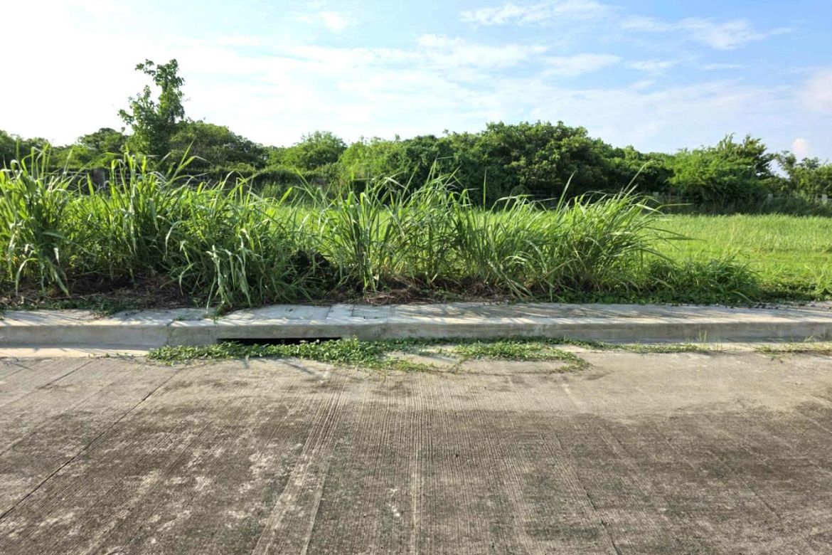 Land for Sale in Salitran I, Dasmariñas, Cavite – photo 3