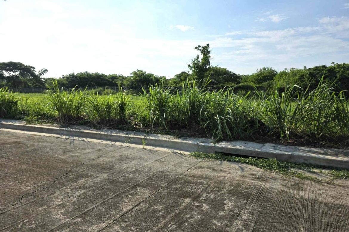 Land for Sale in Salitran I, Dasmariñas, Cavite – photo 4