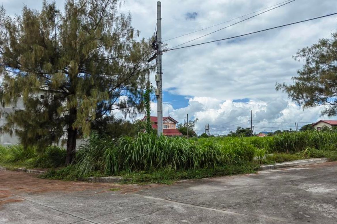 Land for Sale in Salitran II, Dasmariñas, Cavite – photo 6