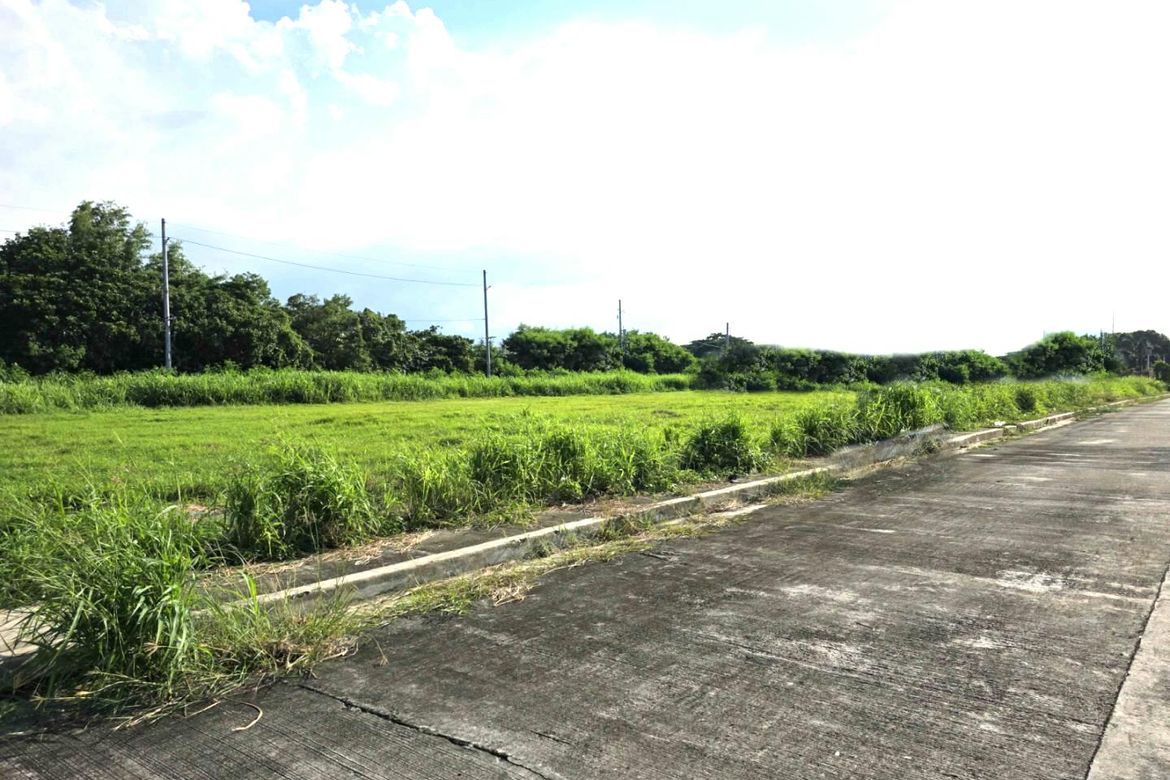 Land for Sale in Salitran IV, Dasmariñas, Cavite – photo 3