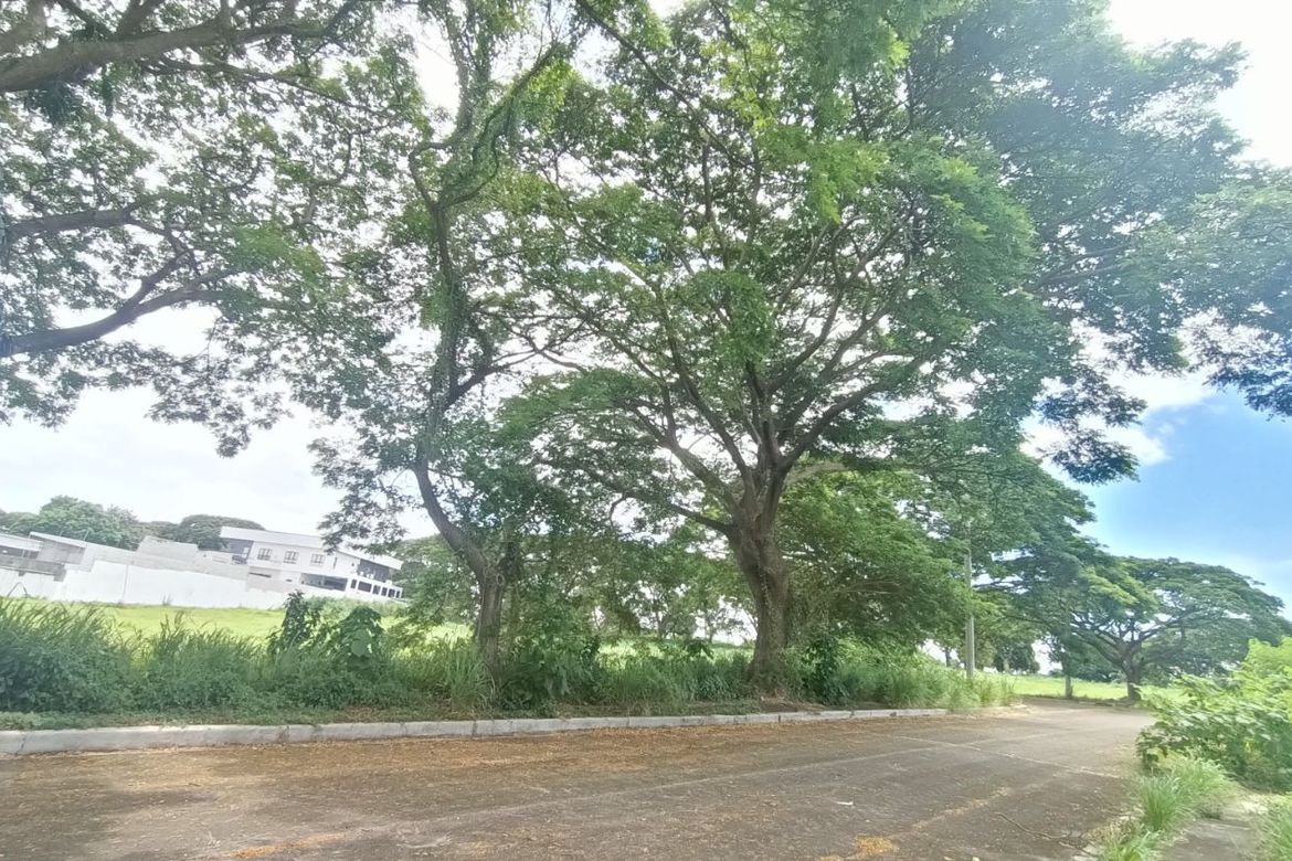 Land for Sale in Salitran IV, Dasmariñas, Cavite – photo 2