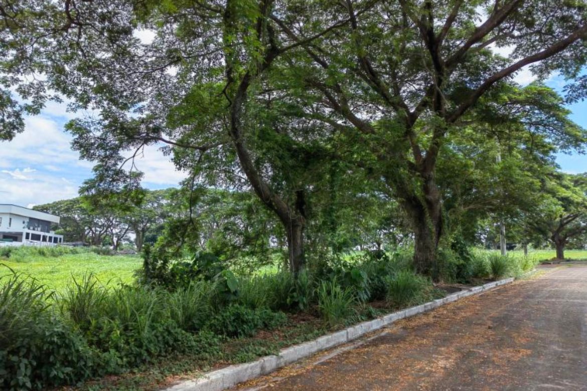 Land for Sale in Salitran IV, Dasmariñas, Cavite – photo 3