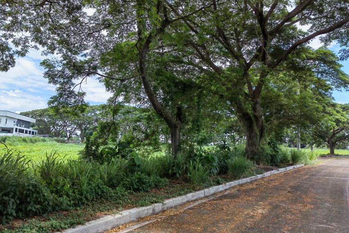 Land for Sale in Salitran IV, Dasmariñas, Cavite – photo 5