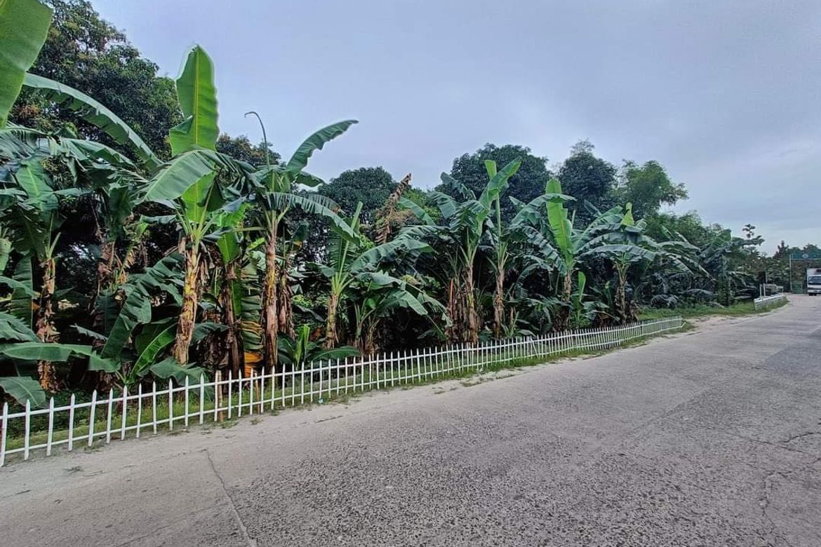 Land for Sale in Salu, Porac, Pampanga