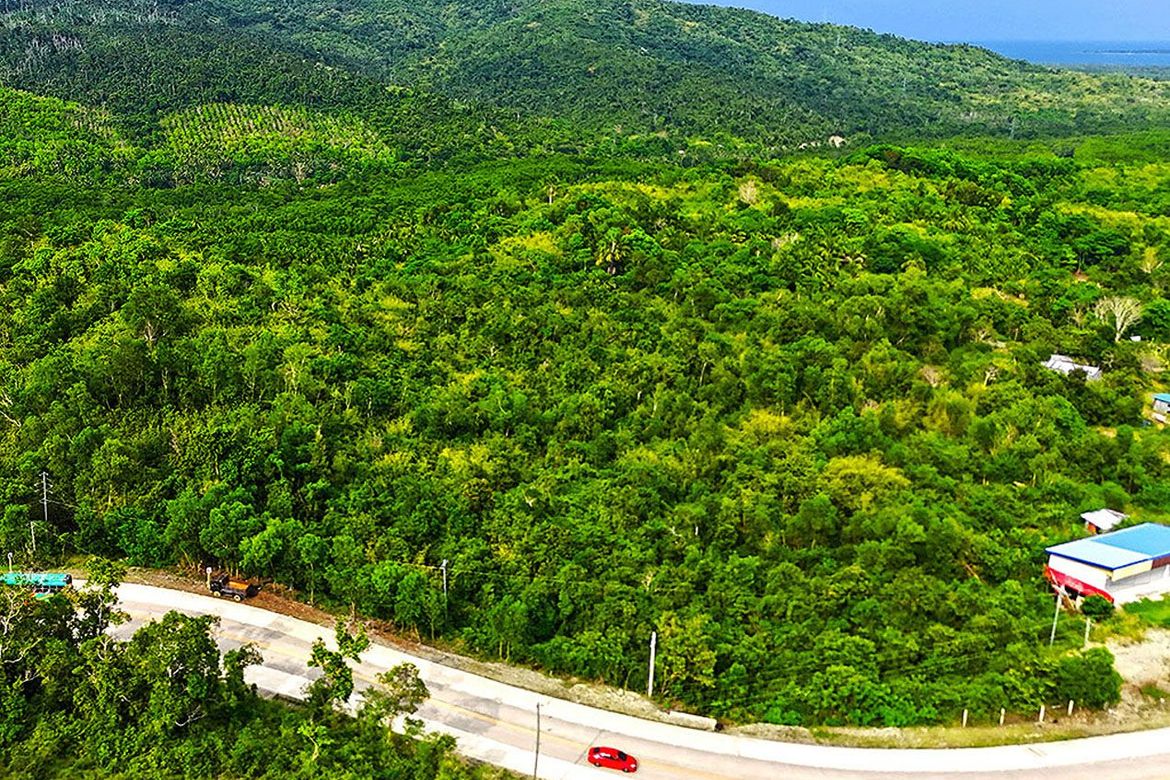 Land for Sale in Salvacion, Puerto Princesa, Palawan – photo 2