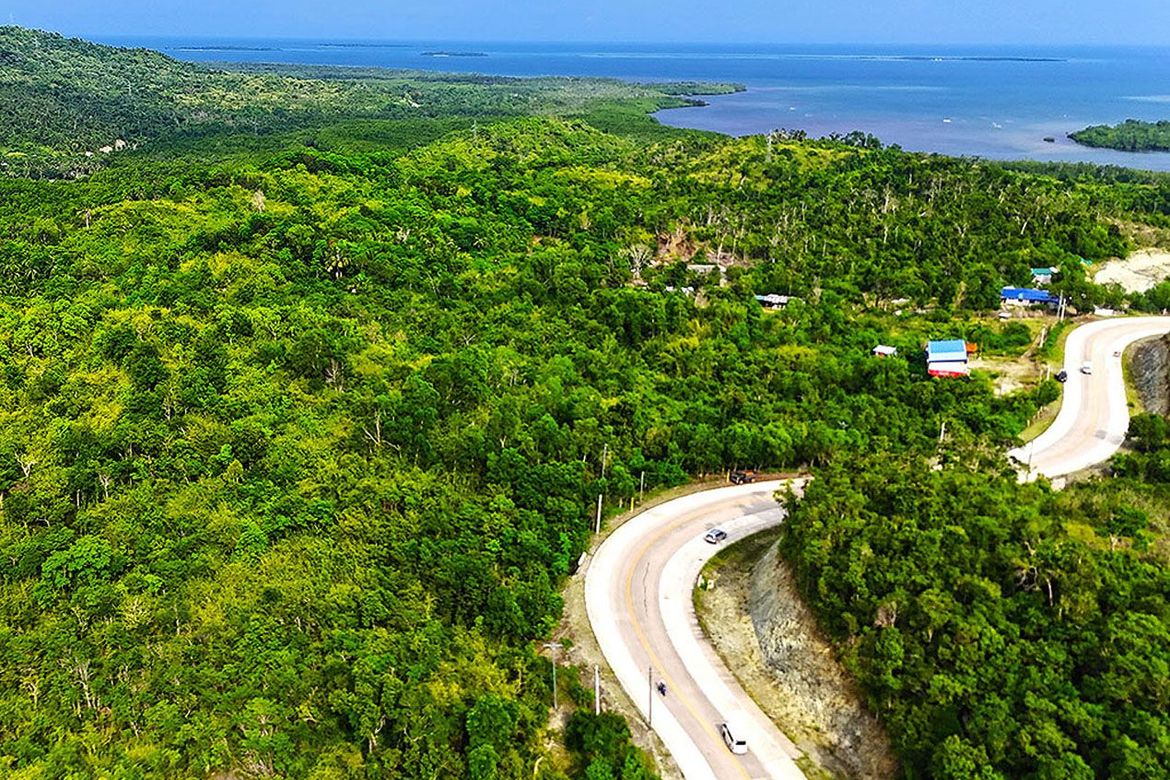 Land for Sale in Salvacion, Puerto Princesa, Palawan – photo 5