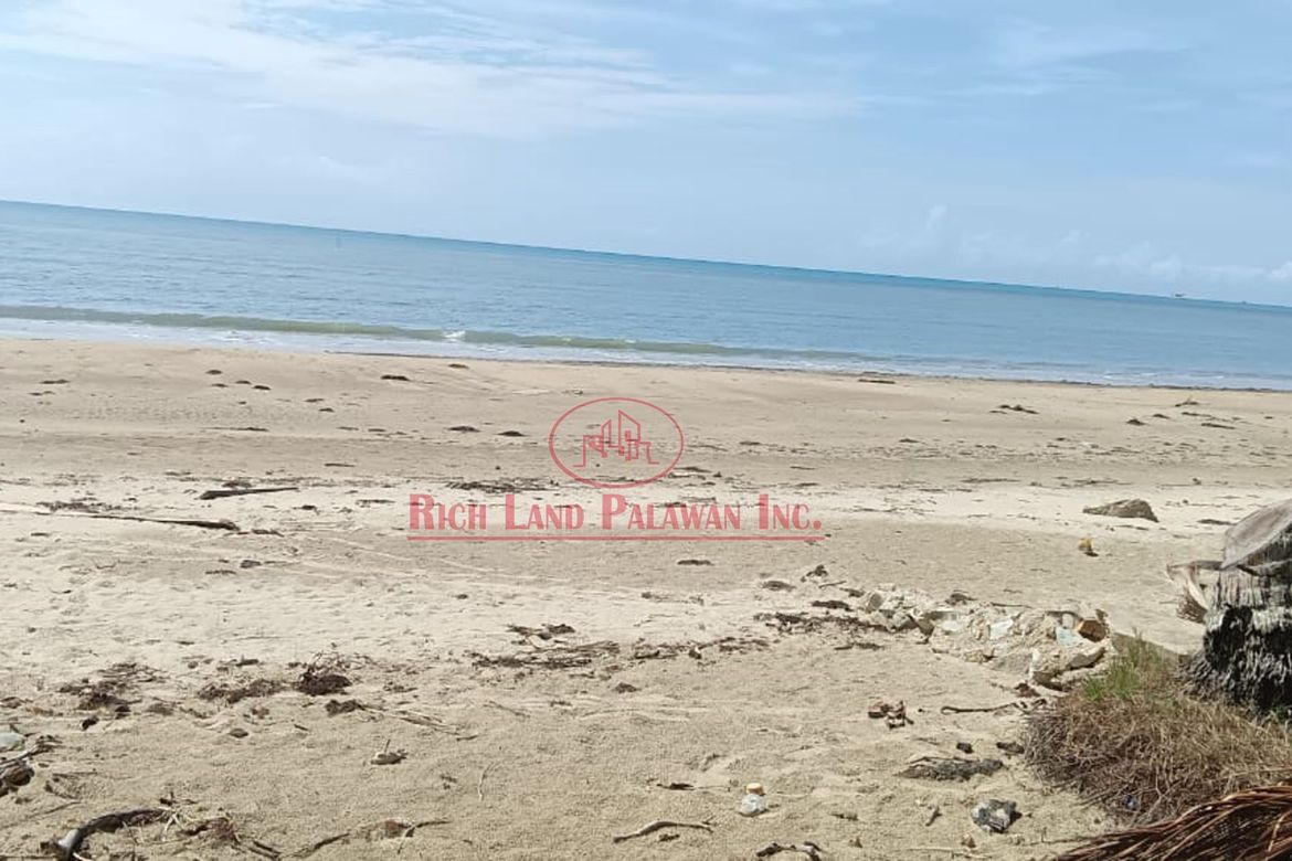 Land for Sale in Salvacion, Roxas, Palawan – photo 2
