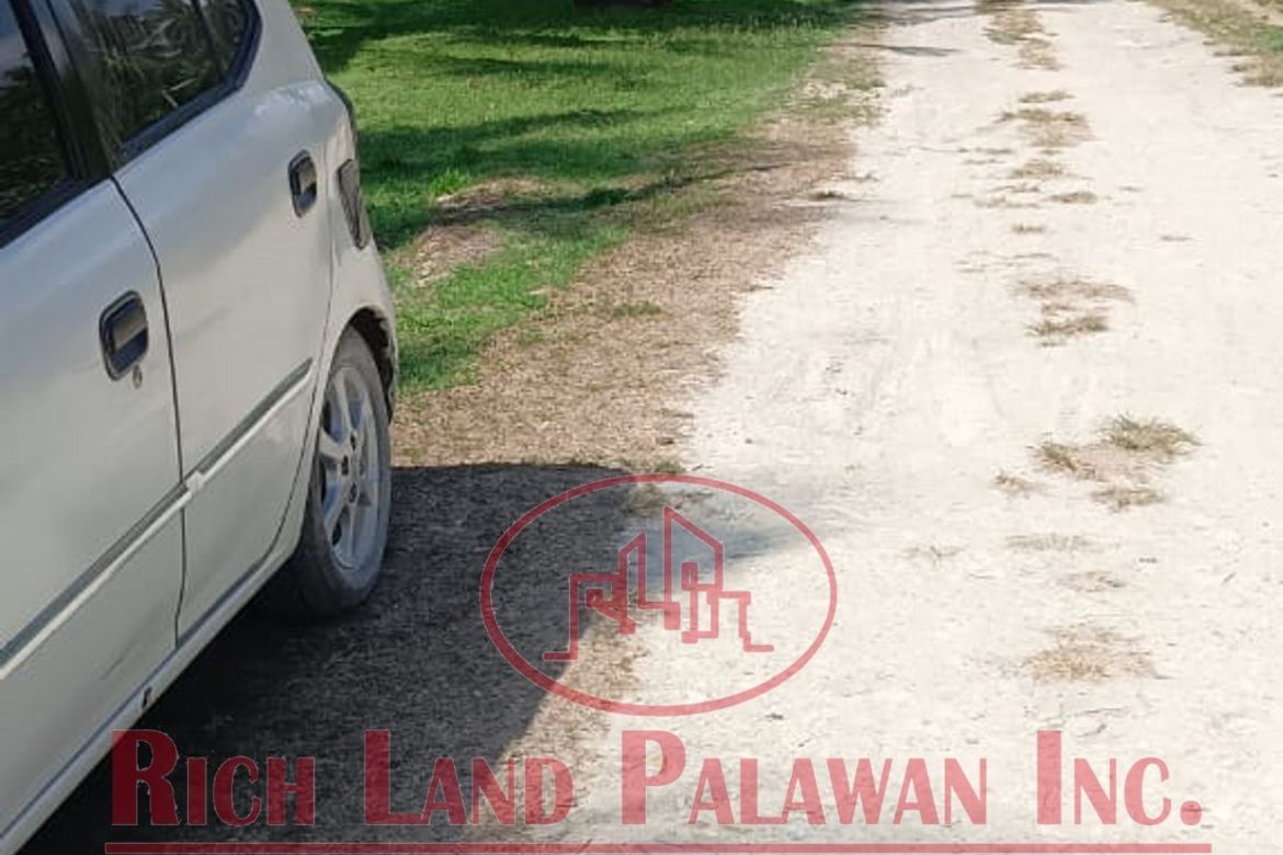 Land for Sale in Salvacion, Roxas, Palawan – photo 5