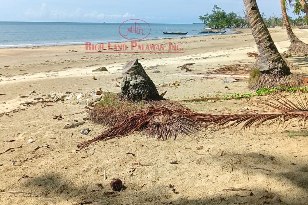 Land for Sale in Salvacion, Roxas, Palawan – photo 7