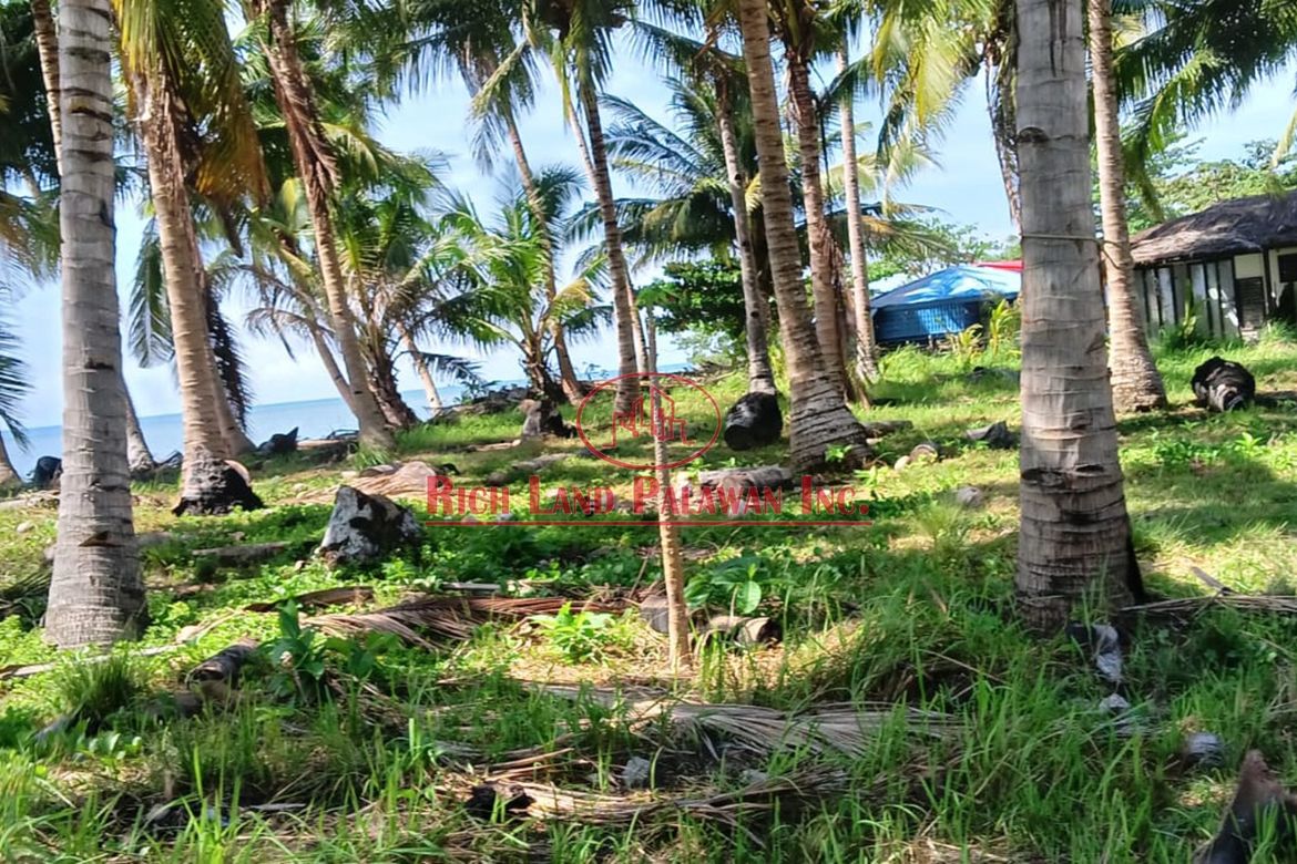 Land for Sale in Salvacion, Roxas, Palawan – photo 8