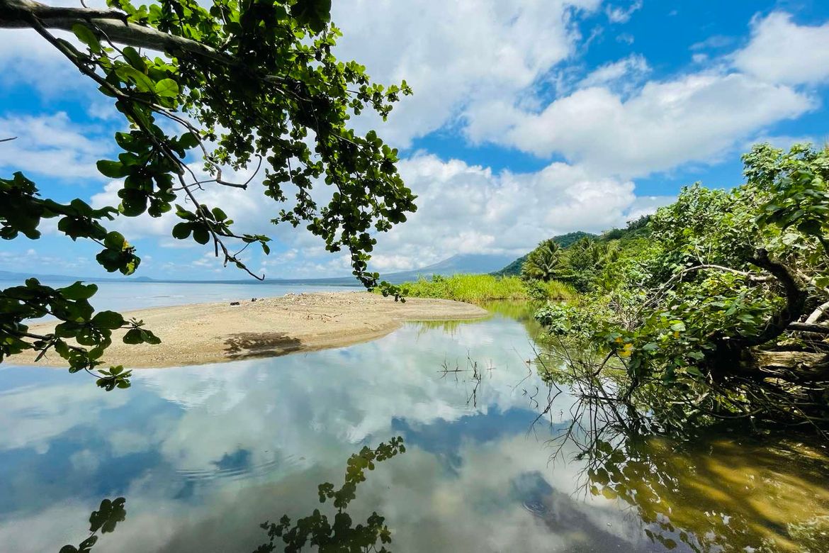Land for Sale in Salvacion, Santo Domingo, Albay – photo 5