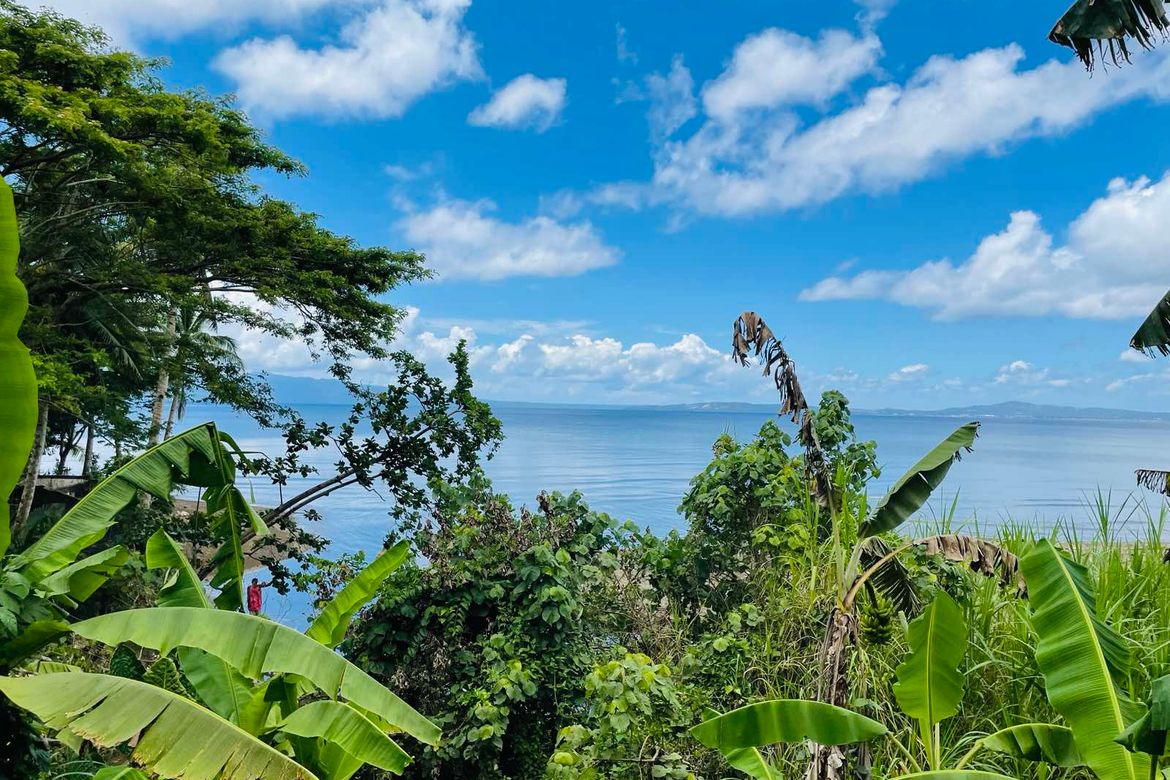 Land for Sale in Salvacion, Santo Domingo, Albay – photo 8