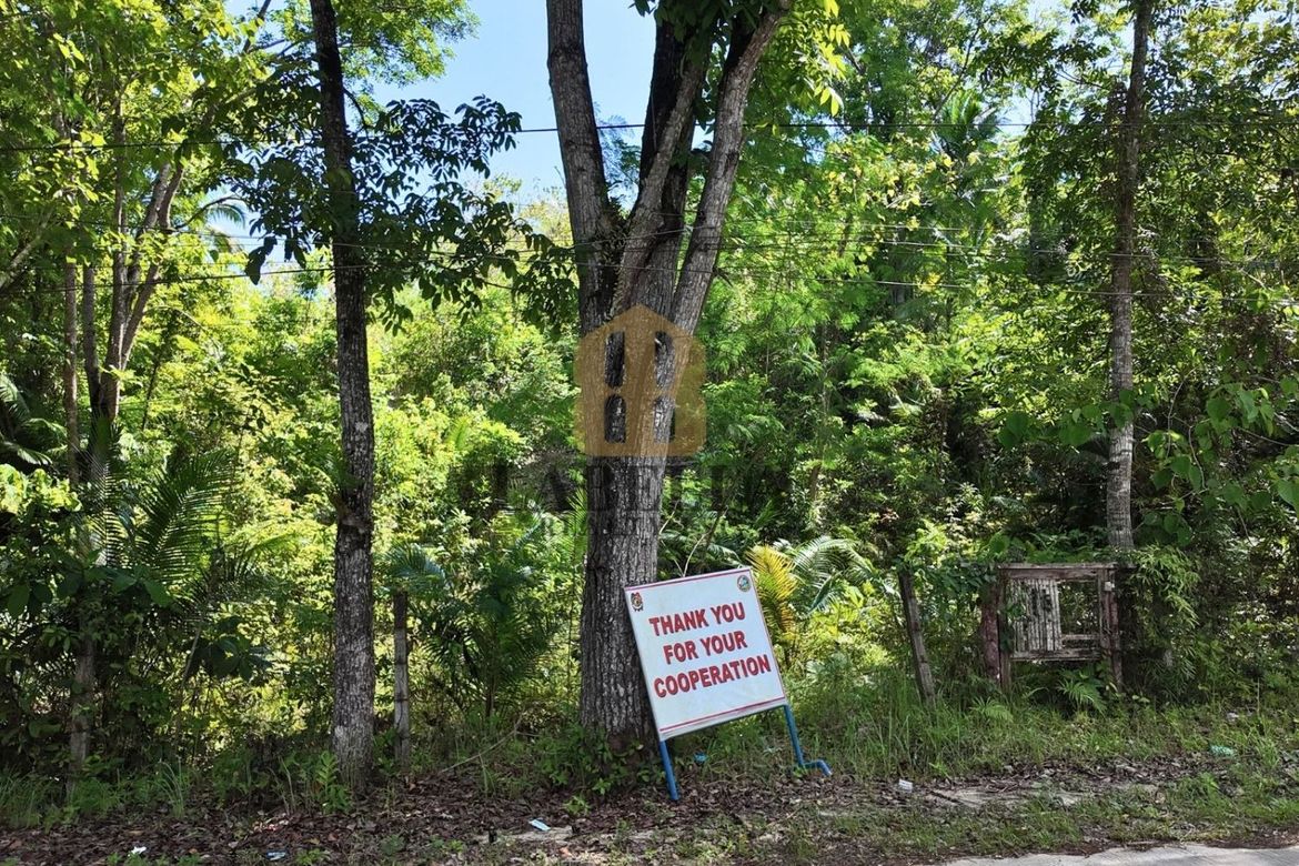 Land for Sale in Salvador, Cortes, Bohol – photo 4