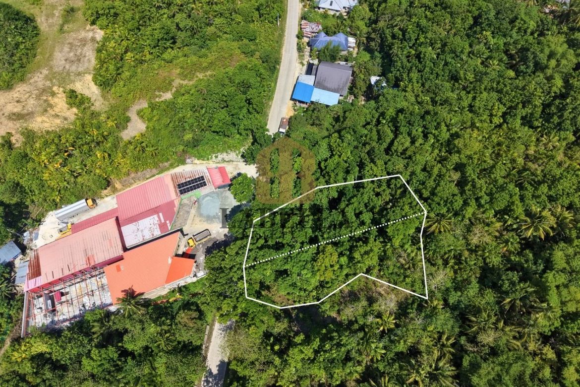 Land for Sale in Salvador, Cortes, Bohol – photo 7