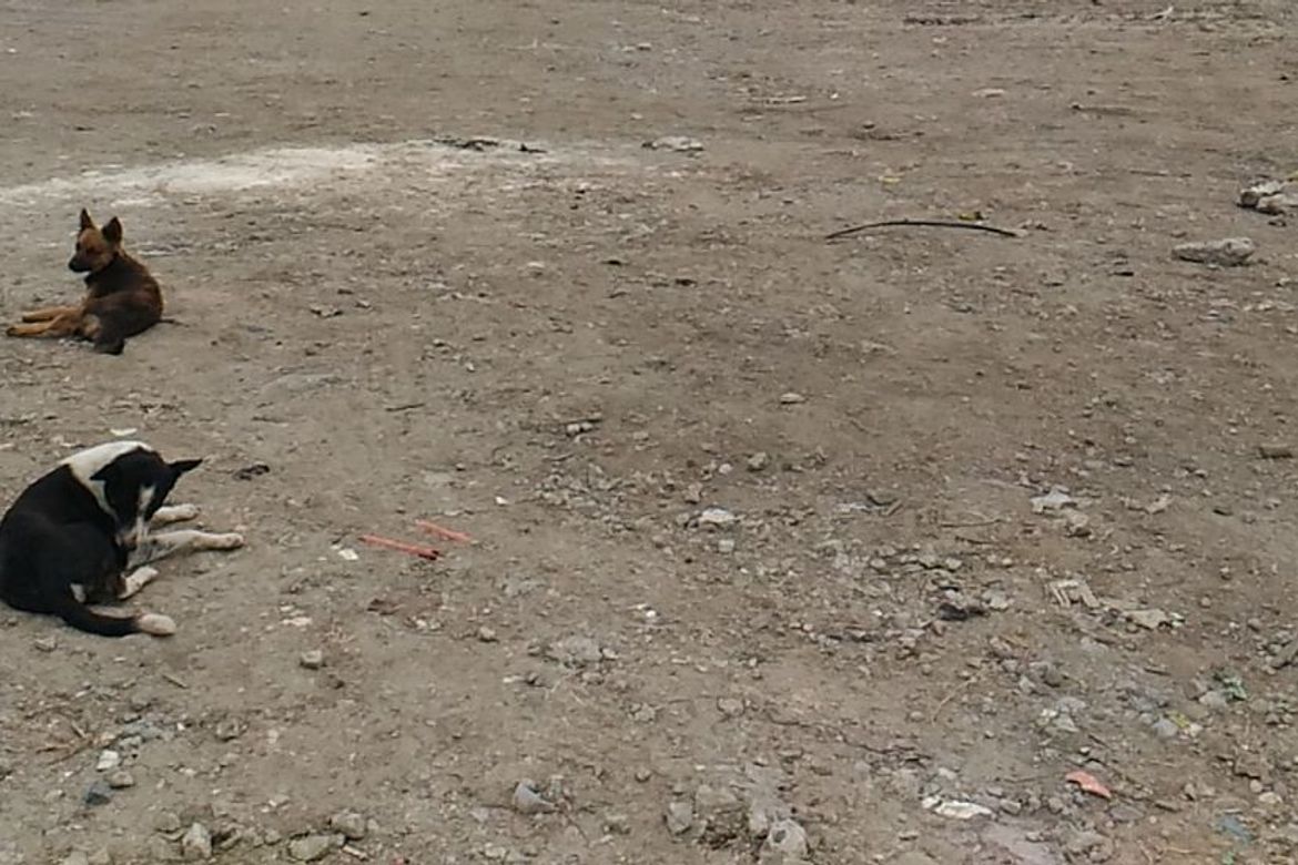 Land for Sale in Samala-Marquez, Kawit, Cavite – photo 2