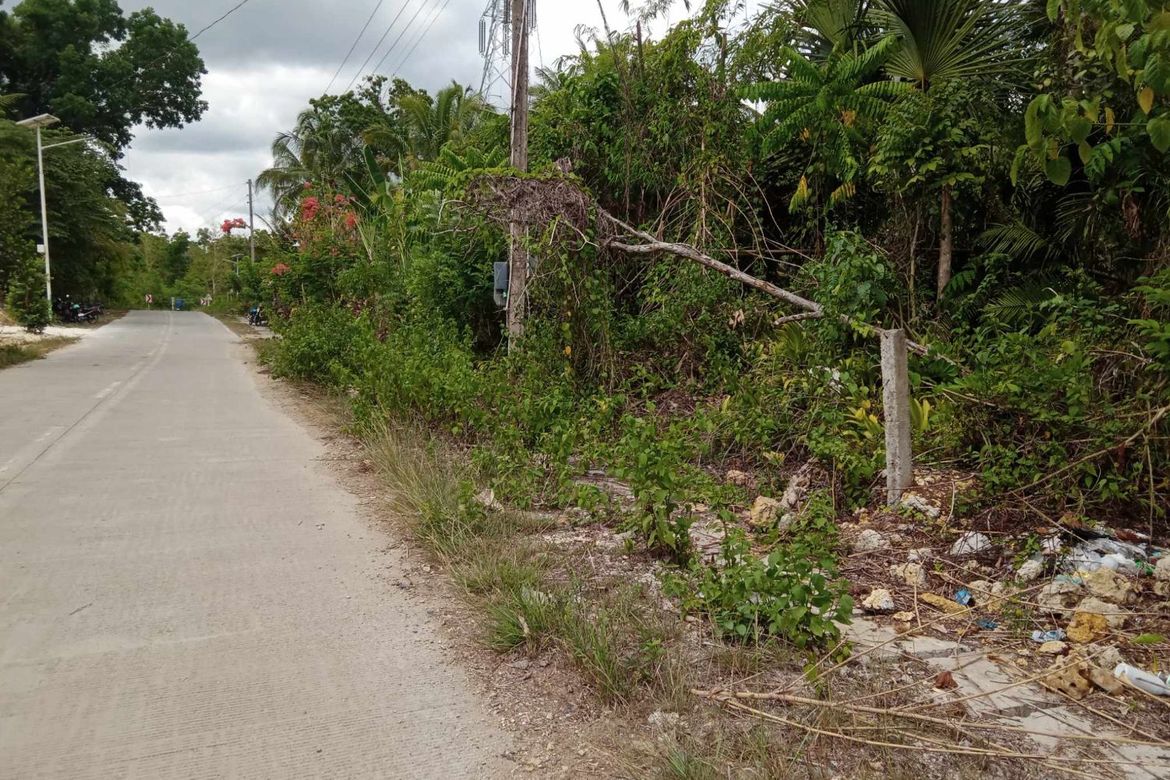 Land for Sale in Sambog, Corella, Bohol – photo 2