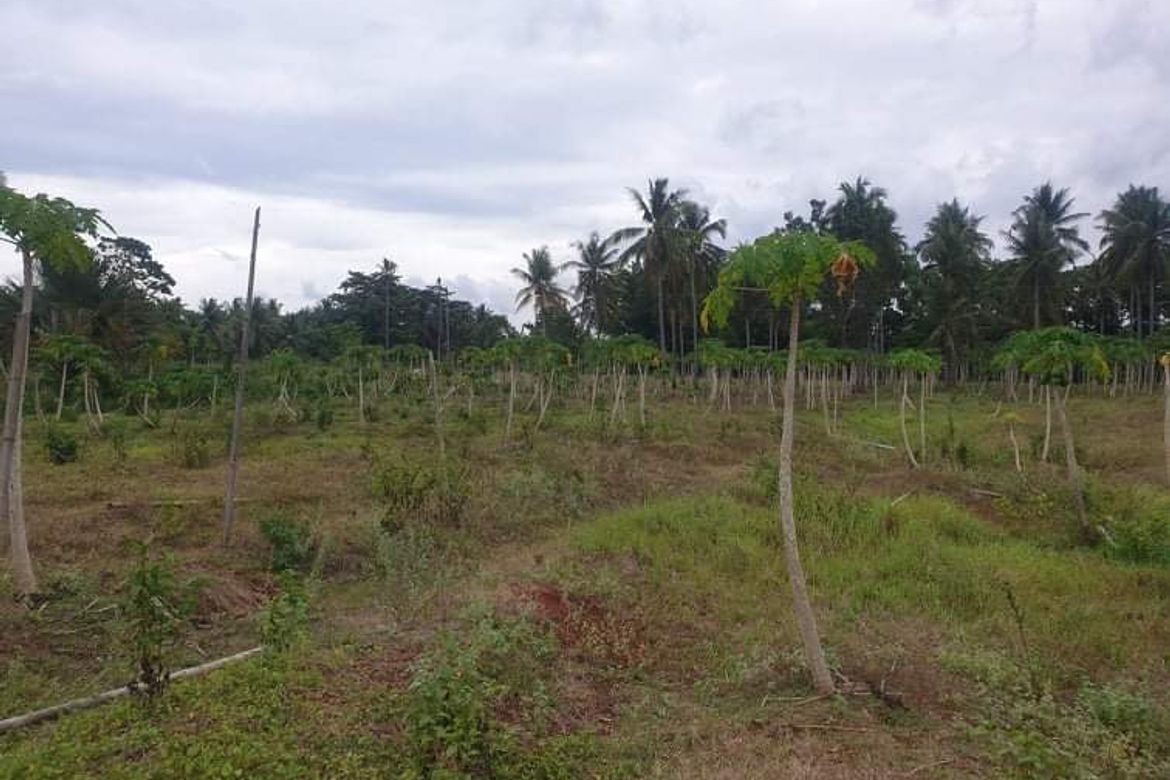 Land for Sale in Sambulawan, El Salvador, Misamis Oriental