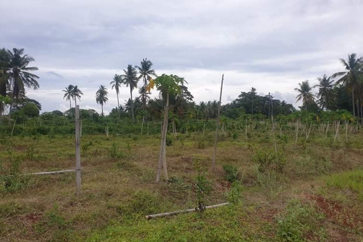 Land for Sale in Sambulawan, El Salvador, Misamis Oriental – photo 2