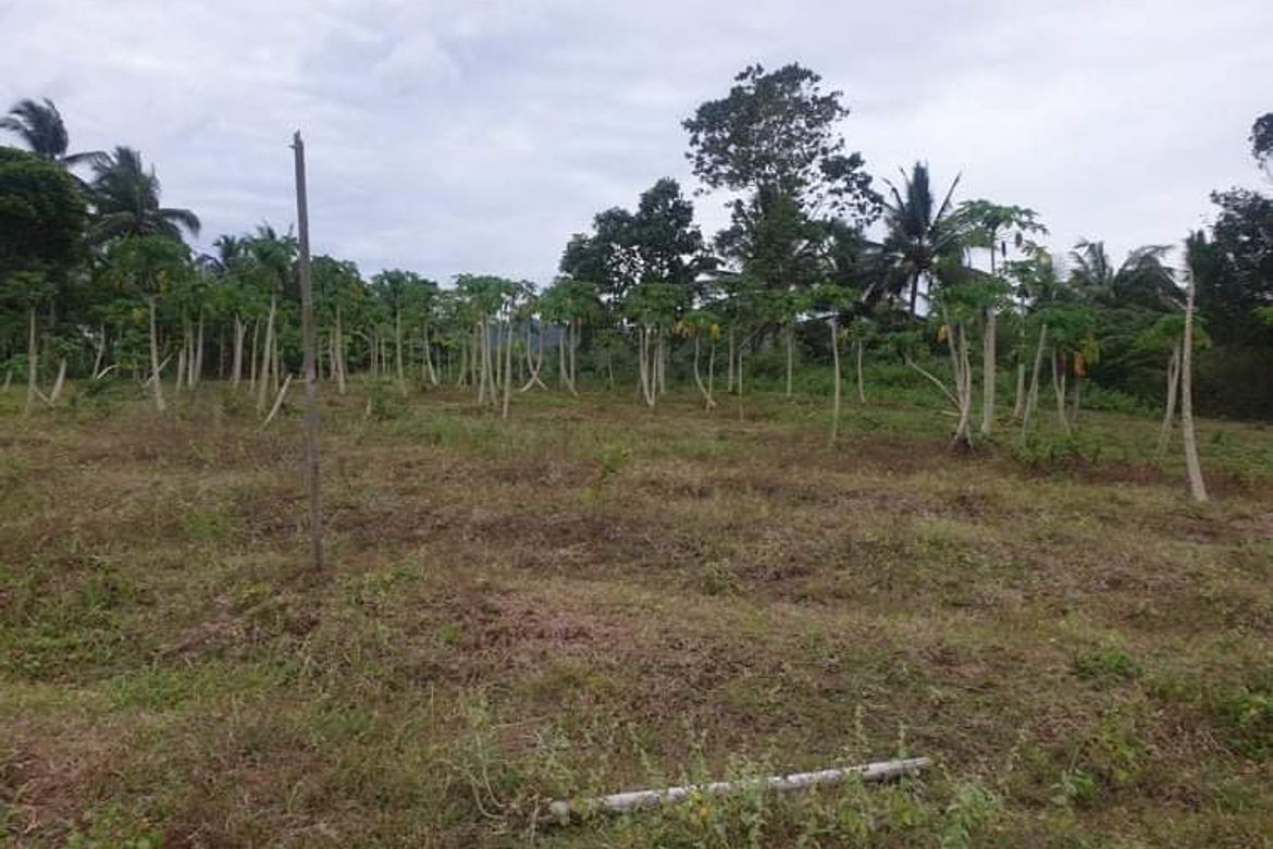 Land for Sale in Sambulawan, El Salvador, Misamis Oriental – photo 3