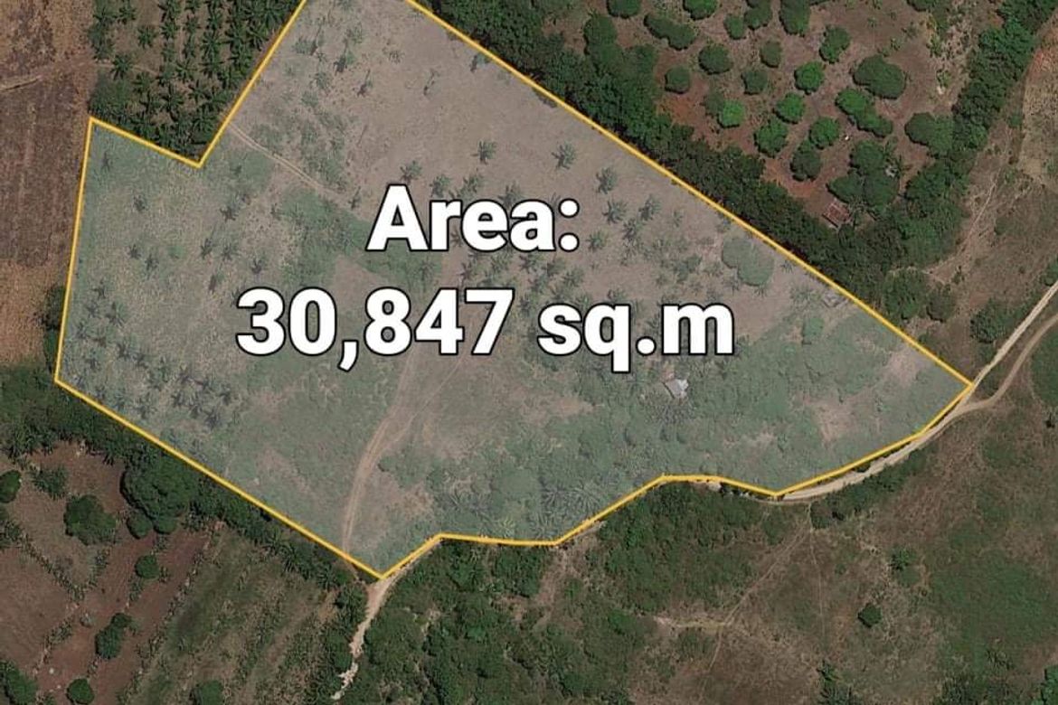 Land for Sale in Sambulawan, El Salvador, Misamis Oriental – photo 5