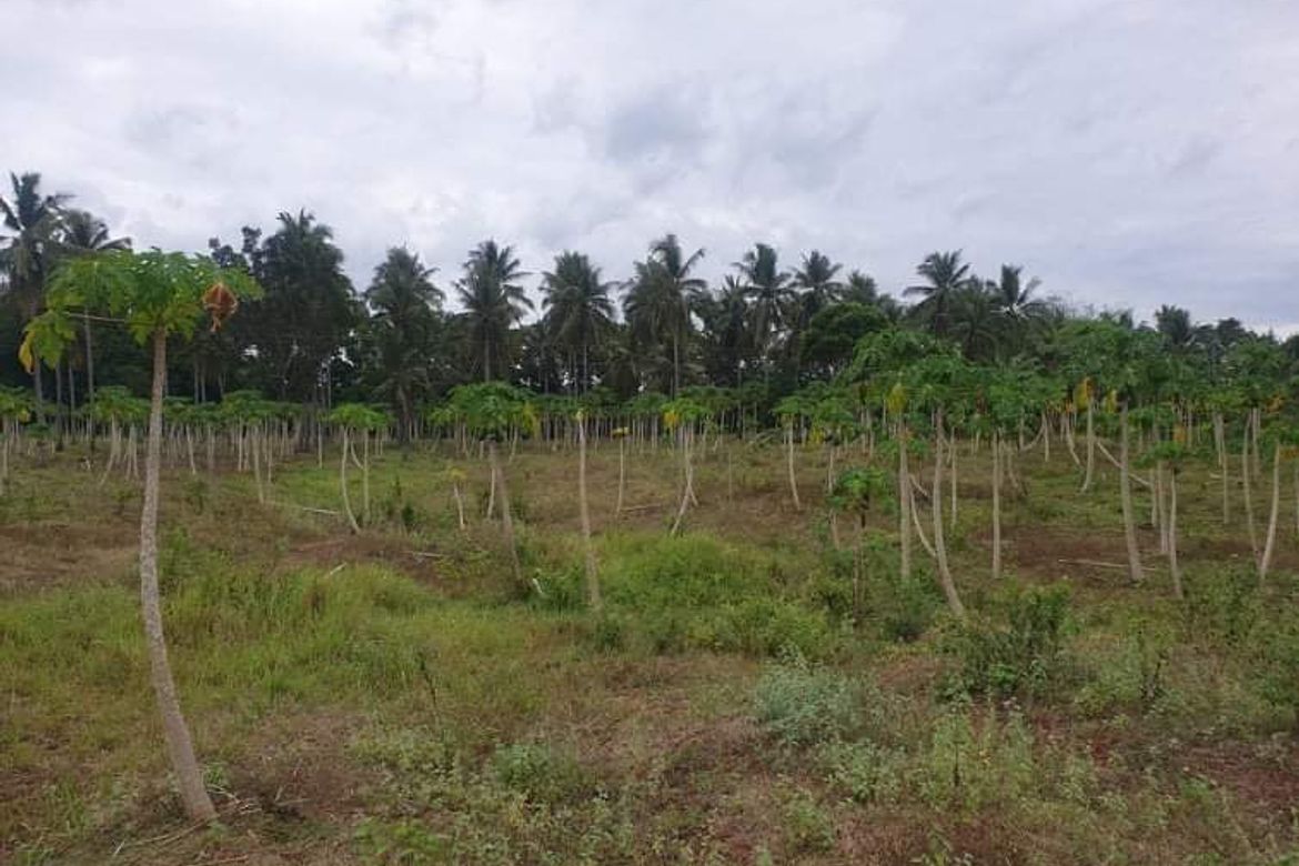 Land for Sale in Sambulawan, El Salvador, Misamis Oriental – photo 6