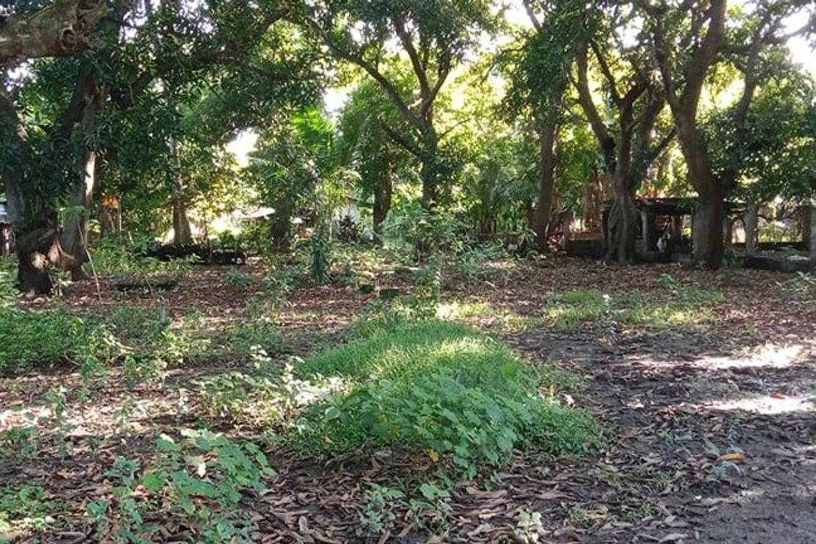 Land for Sale in Sambungan, Calatagan, Batangas – photo 2