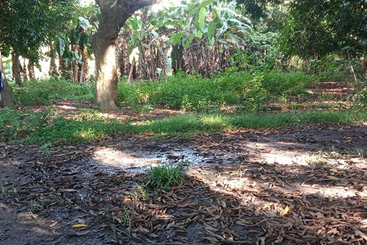 Land for Sale in Sambungan, Calatagan, Batangas – photo 4