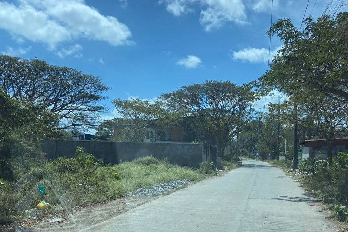 Land for Sale in Sampaloc II, Dasmariñas, Cavite – photo 8