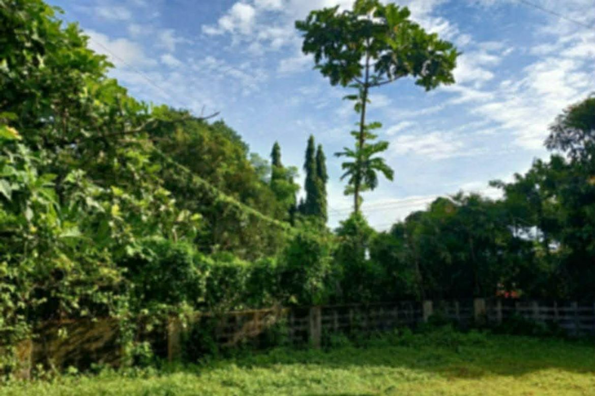 Land for Sale in Sampaloc II, Dasmariñas, Cavite – photo 4