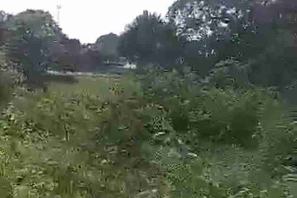 Land for Sale in Sampaloc II, Dasmariñas, Cavite – photo 8