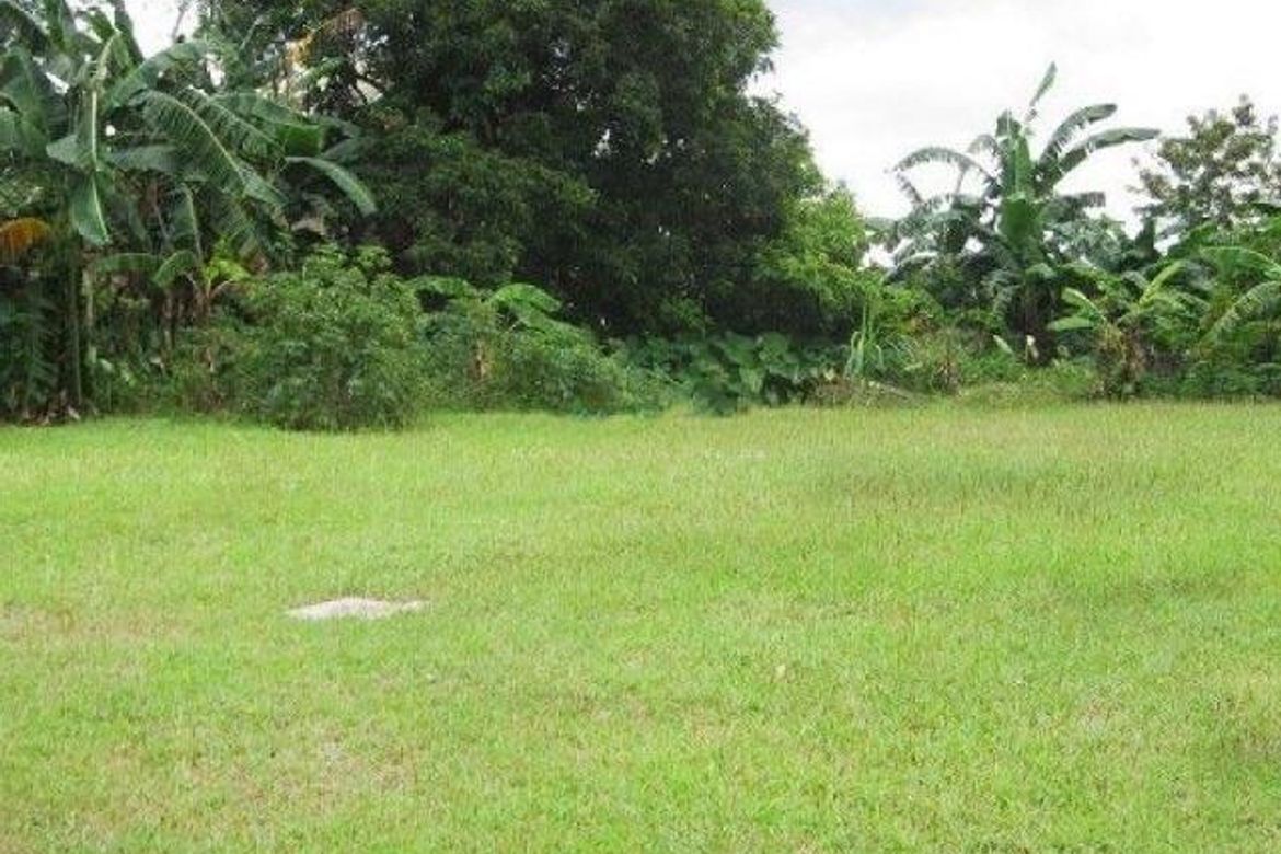 Land for Sale in Sampaloc IV, Dasmariñas, Cavite – photo 3
