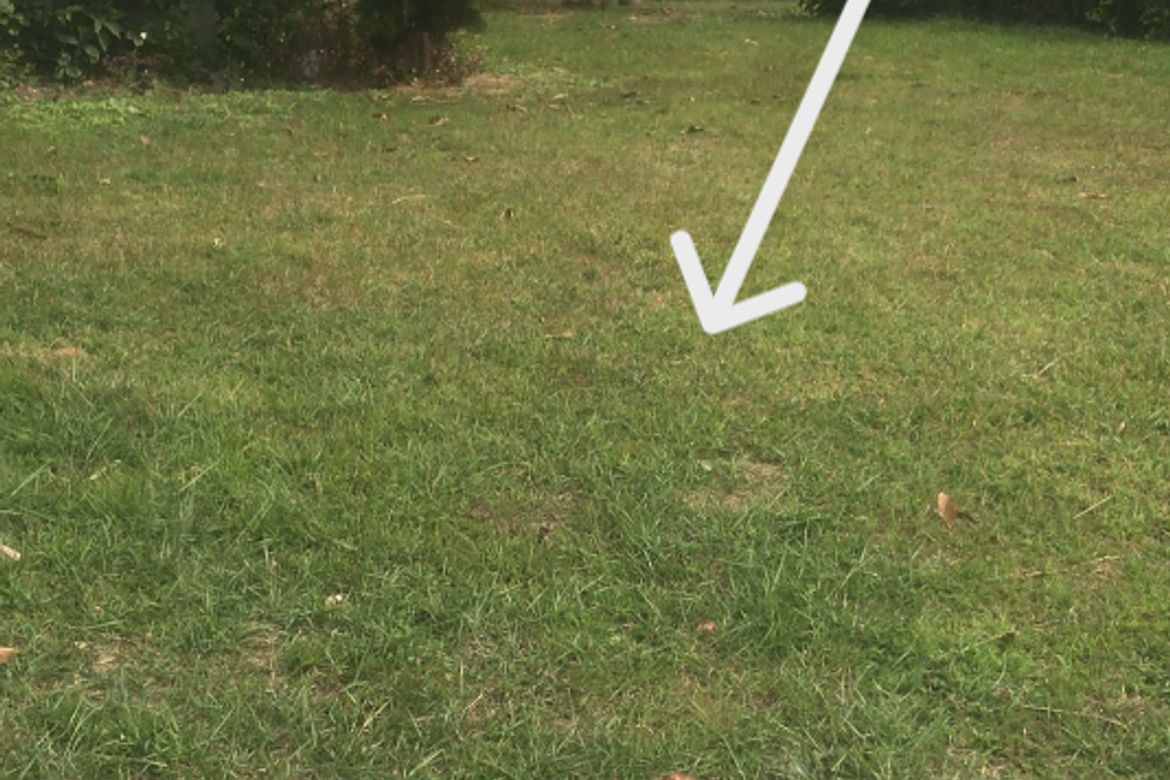 Land for Sale in Sampaloc IV, Dasmariñas, Cavite – photo 2