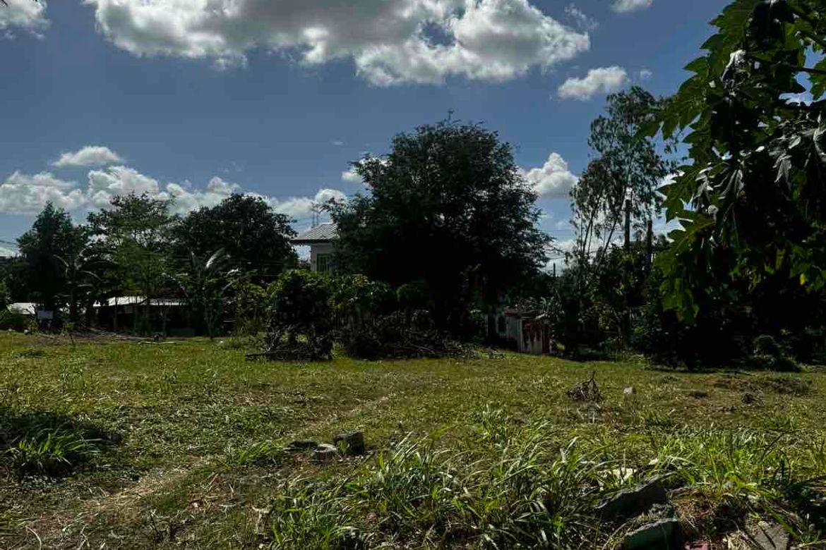 Land for Sale in Sampaloc IV, Dasmariñas, Cavite – photo 2