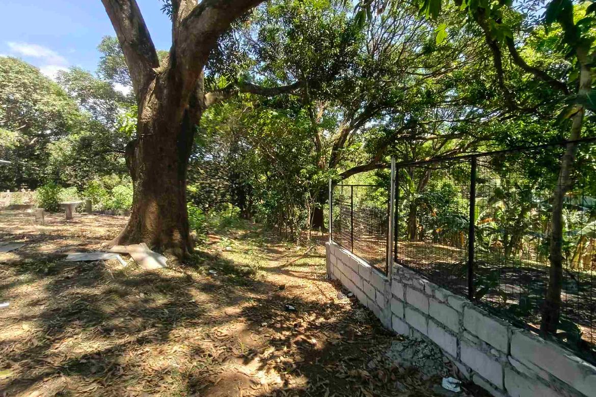 Land for Sale in Sampaloc, Tanay, Rizal – photo 5