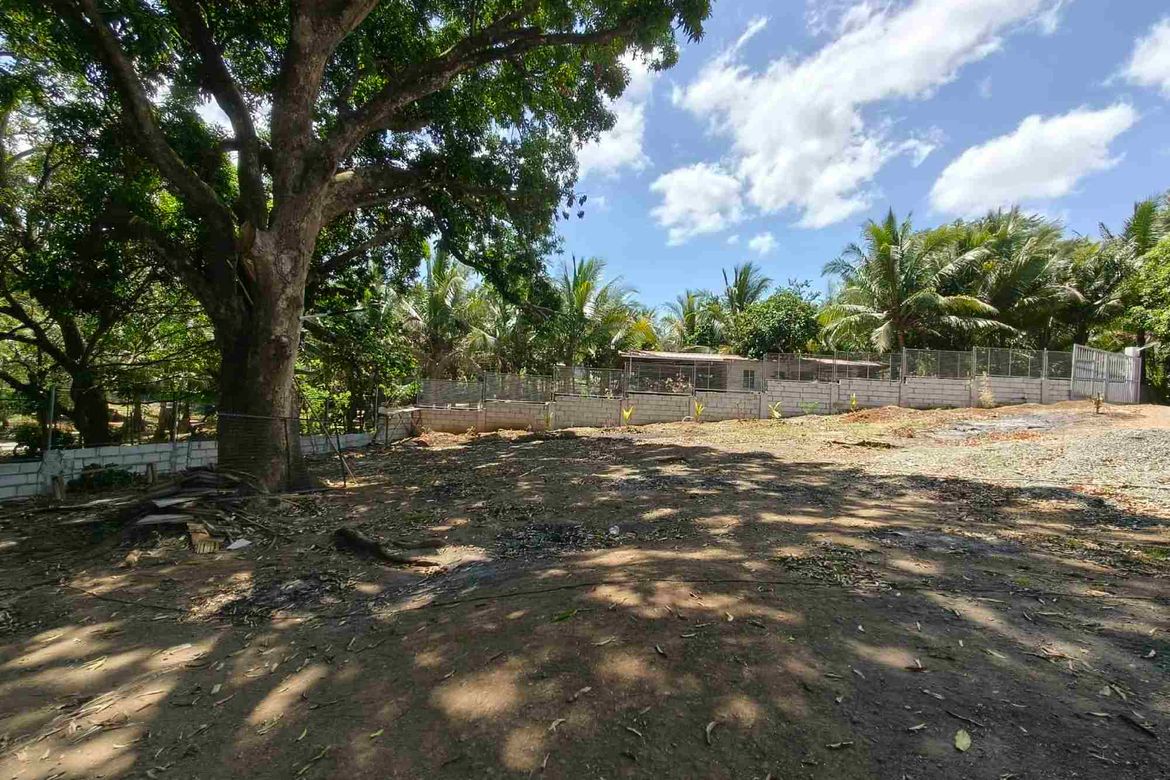 Land for Sale in Sampaloc, Tanay, Rizal – photo 6