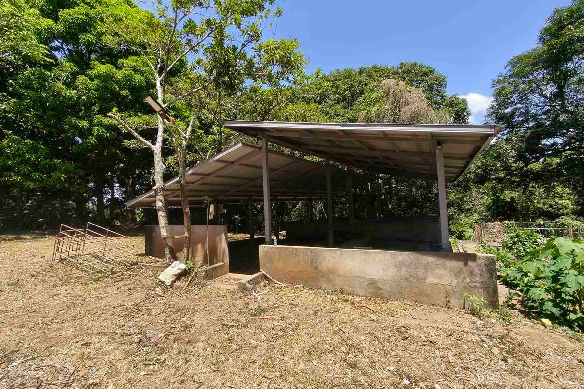 Land for Sale in Sampaloc, Tanay, Rizal – photo 7