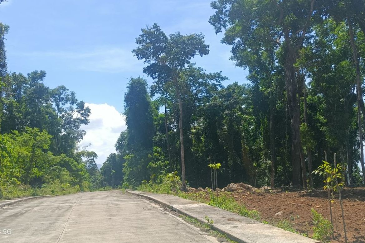 Land for Sale in Sampaloc, Tanay, Rizal – photo 4