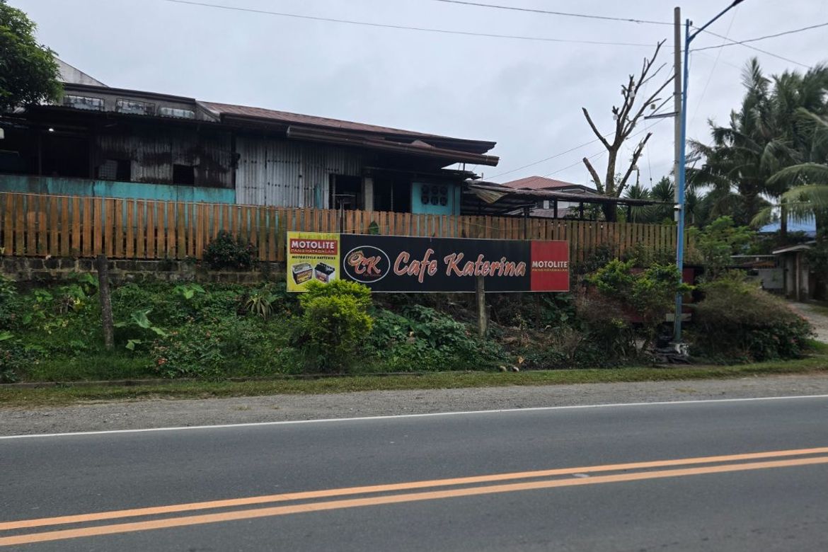 Land for Sale in Sampaloc, Tanay, Rizal – photo 2